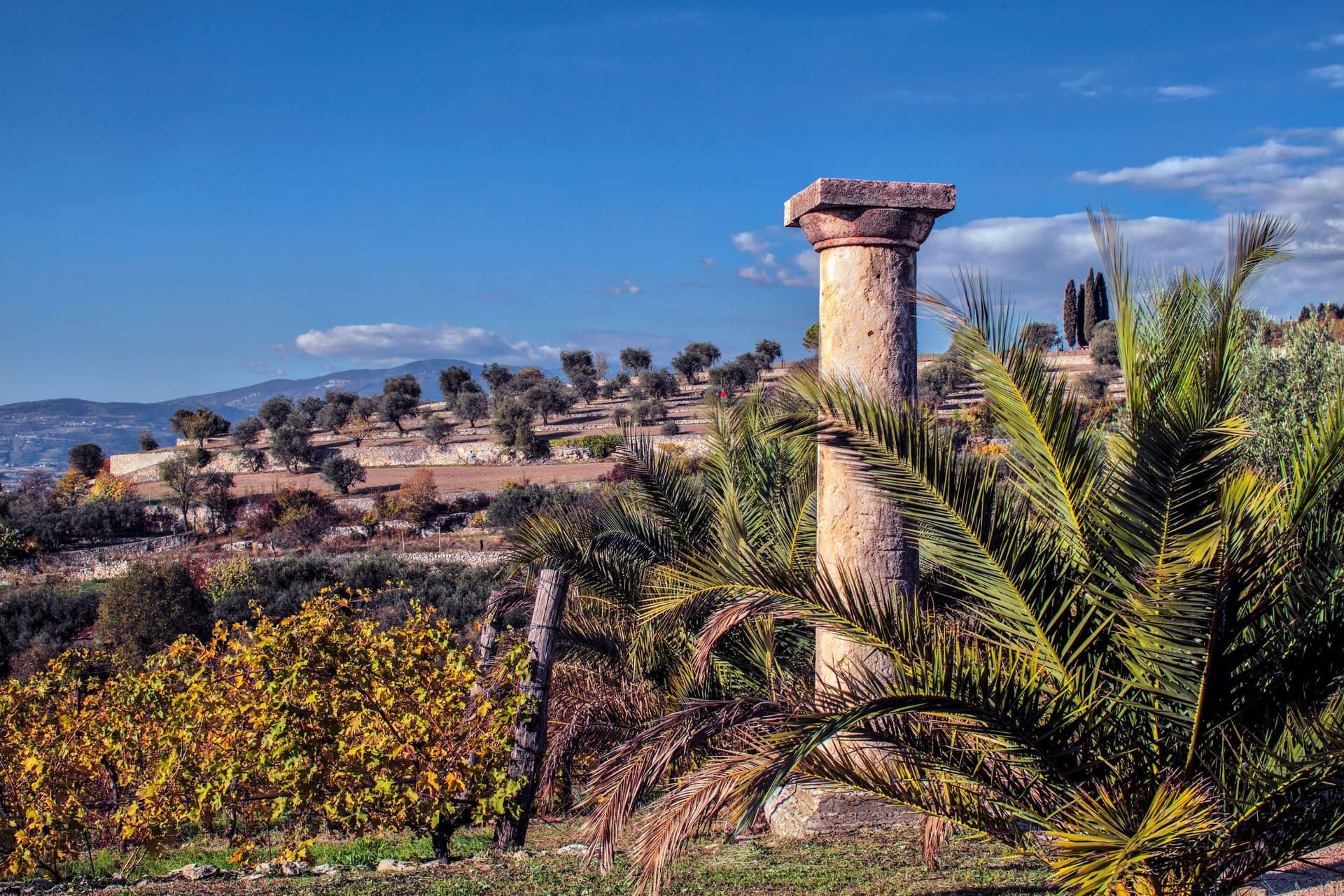 HISTORIC WINE HOTEL - Image 3