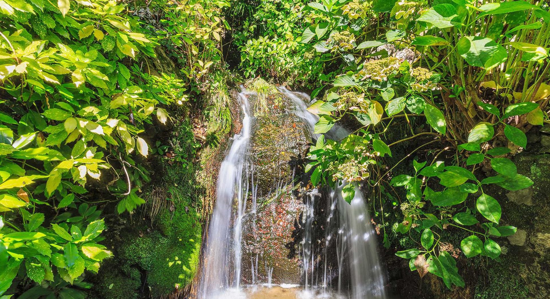 INCANTEVOLE VILLA SUL LAGO MAGGIORE - Image 14